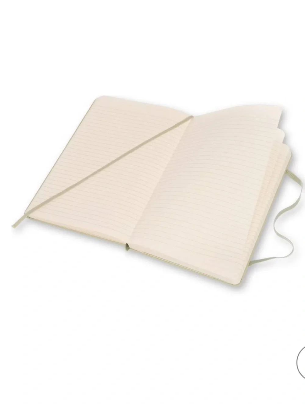 Moleskine Lined Hardcover Notebook Large 5